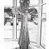 Kunst und Kreuz-5.jpg