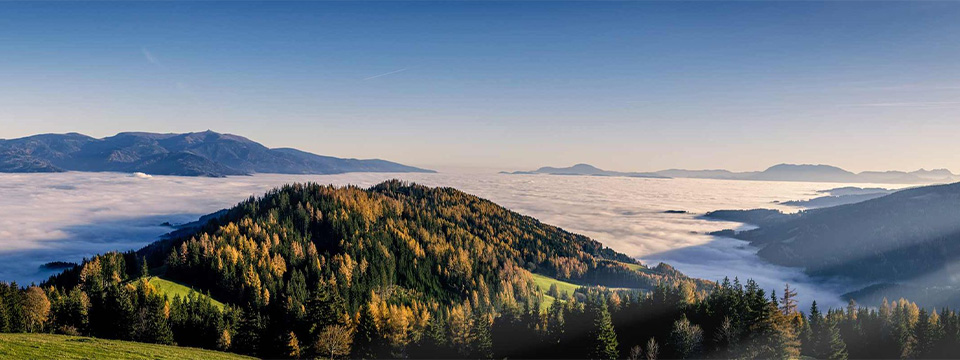 Der Feichtinger Möbelbau (Florian Feichtinger)